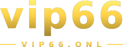 vip66 logo