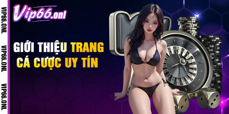 Một vài thông tin nổi bật về sân chơi Vip66