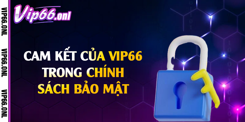 Cam kết của Vip66 trong chính sách bảo mật