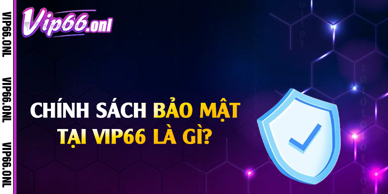 Chính sách bảo mật tại Vip66 là gì?