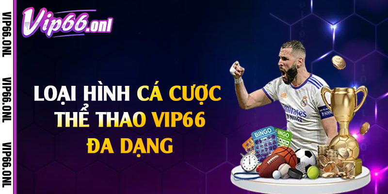 Loại hình cá cược thể thao Vip66 đa dạng