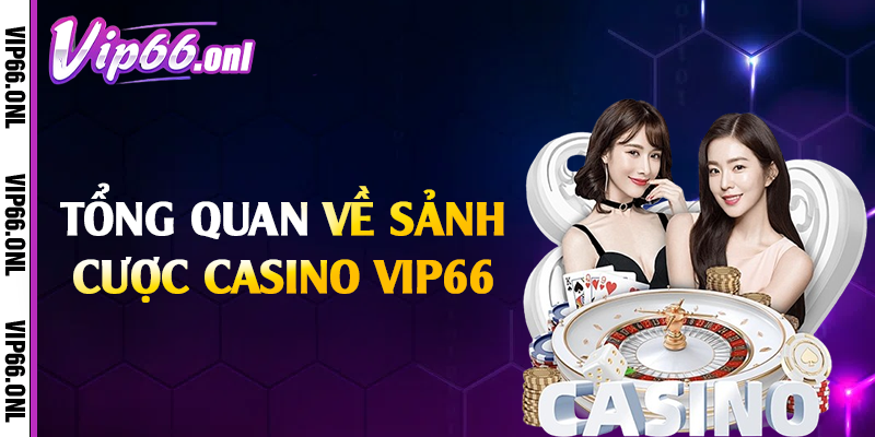 Tổng quan về sảnh cược casino Vip66